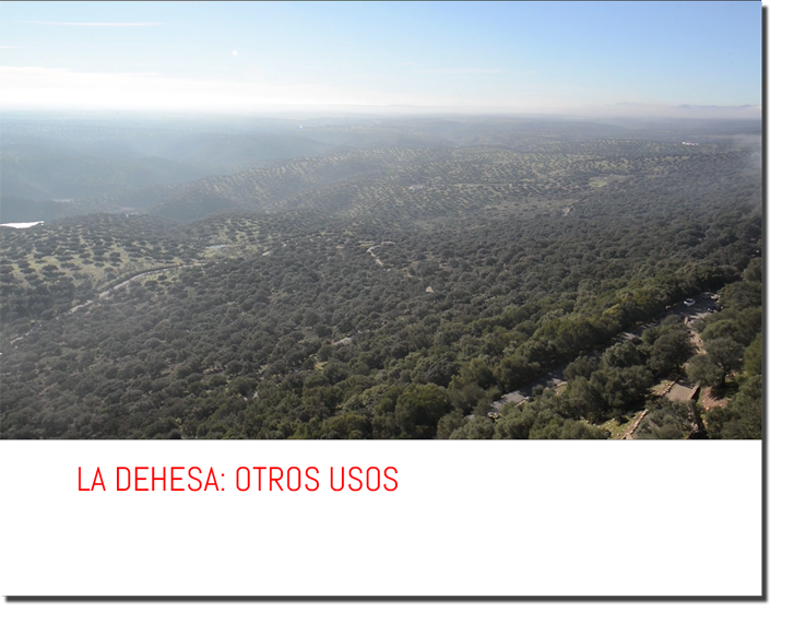 DEHESA: OTROS USOS
