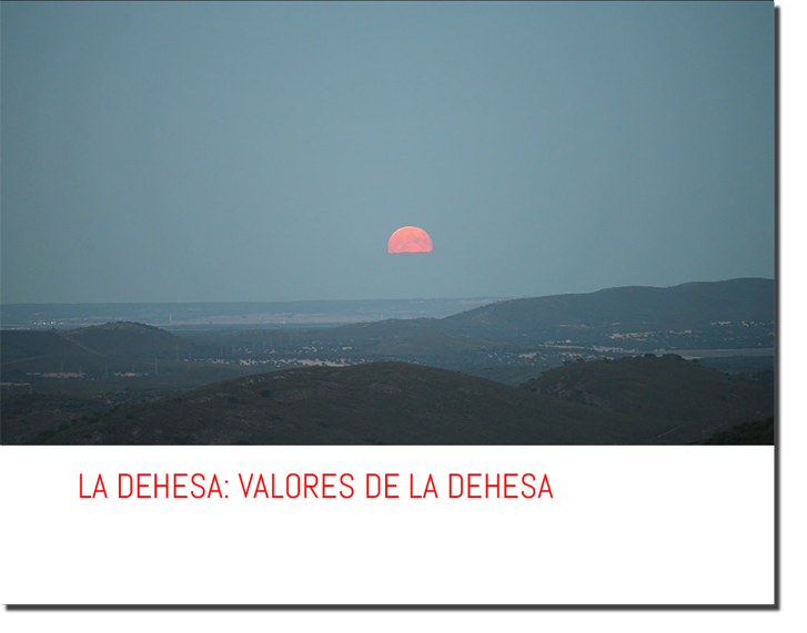 LA DEHESA: VALORES.